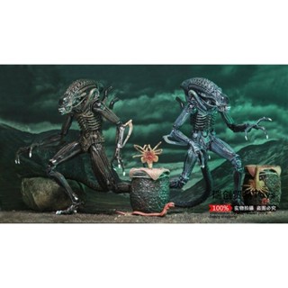 ❏✸NECA Alien 2 1986 Edition Alien Alien Warrior + Bug Egg Set บราวน์/บลู ดีลักซ์ อิดิชั่น