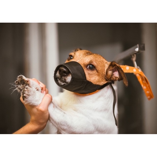 SLEEKY ตะกร้อครอบปากสุนัข ตะกร้อครอบปากแมว ตะกร้อครอบปากหมา ตระกร้อครอบปากสุนัข กันกัด คอล่า - รูปที่ 2