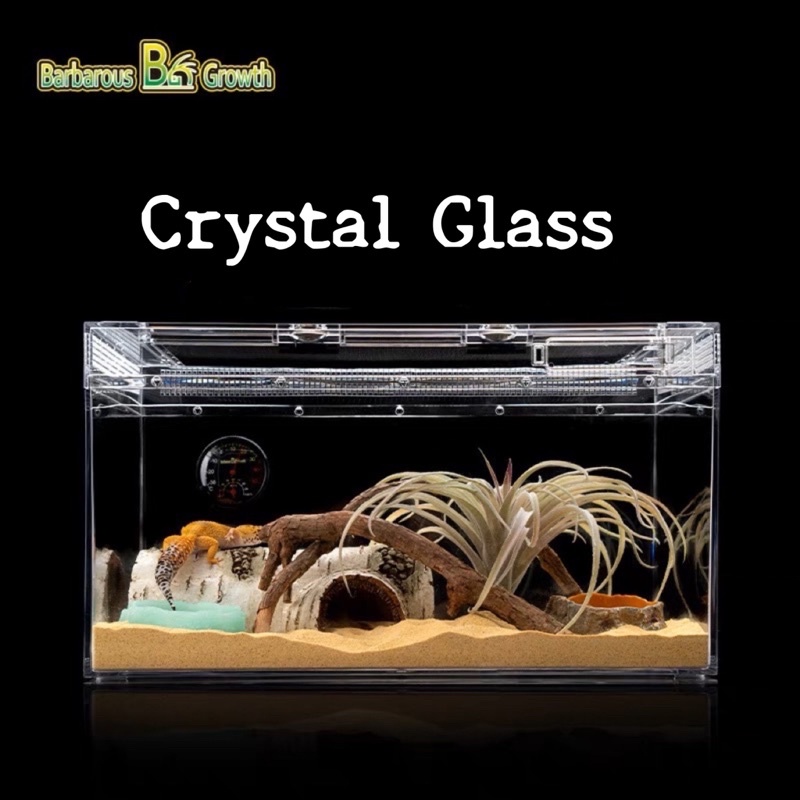 Barbarous Growth กล่องเลี้ยงสัตว์เลื้อยคลาน crystal glass สำหรับ ตุ๊กแก งู ราคา ถูกที่สุด ดีลบีเคเค