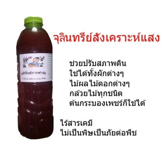 จุลินทรีย์สังเคราะห์แสง 600มล.