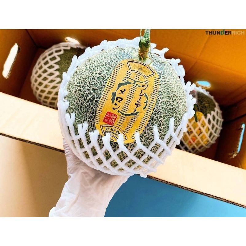 🍈🍈เมล่อนญี่ปุ่น สายพันธุ์ยูบาริ เขียว,ส้ม 🍈🍈 หวาน หอม อร่อย 1 ลูก เนื้อสีเขียว หรือ  เนื้อสีส้ม 🎁🎁รับกล่องผูกโบว์ฟรี🎁🎁