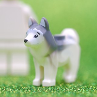 LEGO Husky Dog ANIMAL - LEGO® Authentic เลโก้แท้