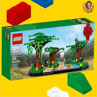 LEGO 40530 Jane Goodall Tribute BOX EXCLUSIVE - LEGO เลโก้ Minifigure มินิฟิกเกอร์ ตัวต่อ ของเล่น