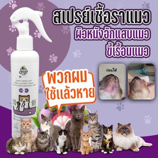 สเปรย์นาโนเชื้อราแมวสำหรับแมว200ml