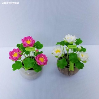 ♗□∈ดอกบัวดินปั้นพร้อมกระถางเคลือบมุข ความสูง 5 นิ้ว