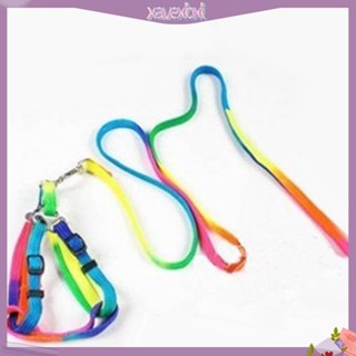 (xavexbxl) สายรัดหน้าอกมีสีสันสำหรับสุนัขสัตว์เลี้ยง
