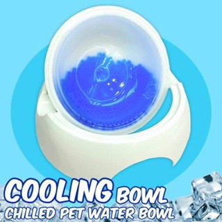 ส่งเร็ว⚡️ Cooling bowl ชามเจลโซลูชั่นสัตว์เลี้ยง