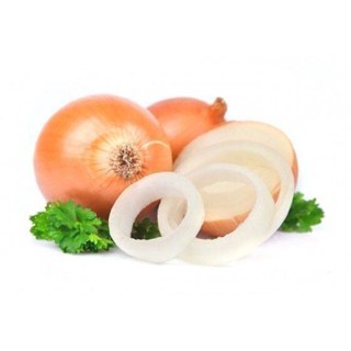 100 เมล็ด เมล็ดหอมหัวใหญ่ สายพันธุ์ หอมใหญ่ Cymes ของแท้ 100% อัตรางอก 70-80% Onion seeds มีคู่มือปลูก