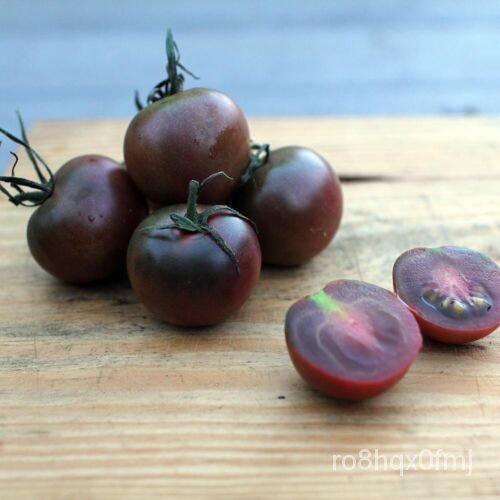 เมล็ด TOMATO (Black Cherry) 175 Seeds :) NON GMO.Open Pollinated. Instructions Inc x ข้าวโพด