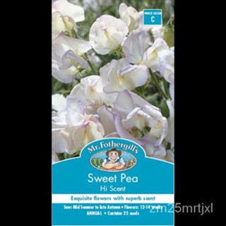 เมล็ด Mr Fothergill S Sweet Pea Hi Scent 25เมล็ดส่งฟรีไปรษณีย์ ต้นอ่อน