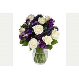 เมล็ด 20 Lisianthus เมล็ดต้นอ่อนไม้สีม่วงและสีขาวผสม/ยาวนานปี ต้นอ่อน