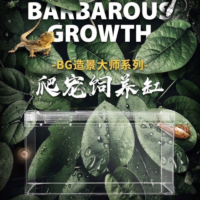 Barbarous Growth กล่องเลี้ยงสัตว์เลื้อยคลาน crystal glass สำหรับ ตุ๊กแก งู ราคา ถูกที่สุด ดีลบีเคเค แกลเลอรีภาพที่ 7