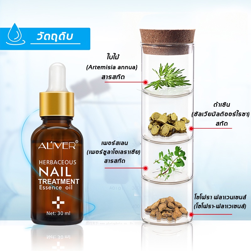 ALIVER เซรั่มบำรุงเล็บ เซรั่มเล็บ เล็บขบ เชื้อรา 30ml บำรุงเล็บ เชื้อราเล็บมือ ลากับเล็บเสีย ห่างกับปัญหาเล็บ ซ่อมแซมเล็บ ราคา ถูกที่สุด ดีลบีเคเค แกลเลอรีภาพที่ 4