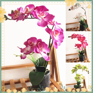 [Yzy] ดอกไม้ปลอม Phalaenopsis สําหรับตกแต่งบ้านออฟฟิศร้านคาเฟ่