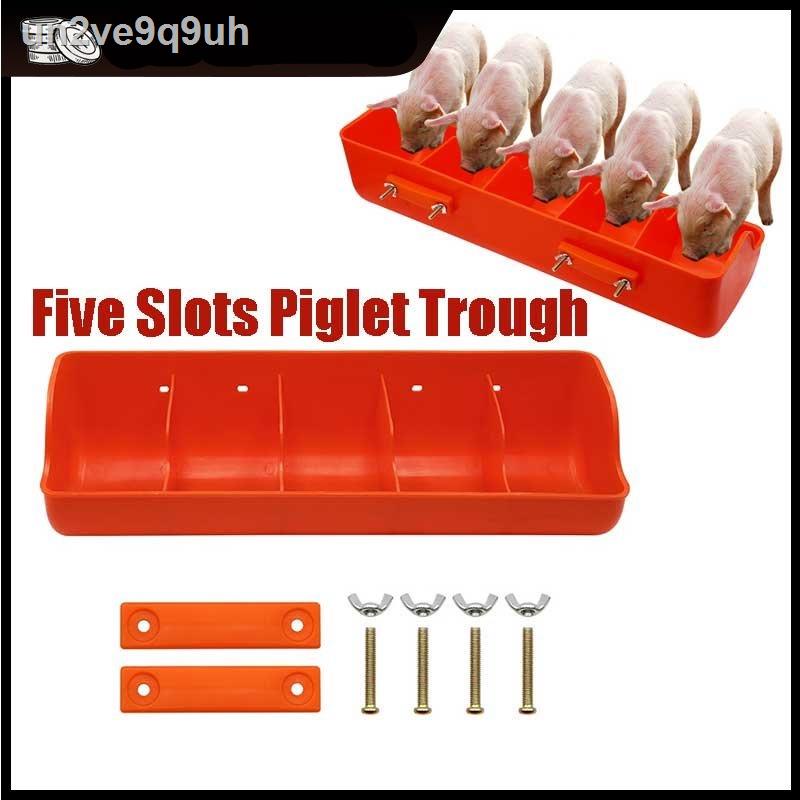 1Pcs Plastic Piglet Trough Five Slots Piglet Feeding Trough Piglet Feeder