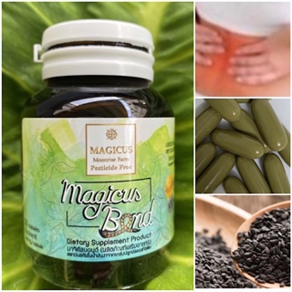 Magicus Bond  มาจิกคัสบอนด์  เซซมิน" ในน้ำมันงาดำ สกัดเย็น เพื่อกระดูกบาง พรุน กระดูกเสื่อม ปัญหา