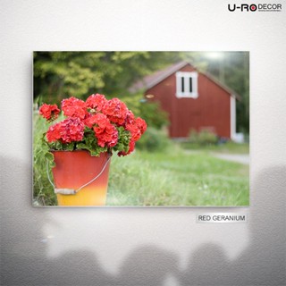 U-RO DECOR ภาพพิมพ์ รุ่น RED GERANIUM ขนาด 50x70 ซม.