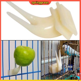 (SPRINGGREEN) ของเล่นส้อมพลาสติกสำหรับสัตว์เลี้ยง