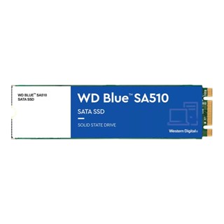 อุปกรณ์จัดเก็บข้อมูล / 250 GB SSD (เอสเอสดี) WD BLUE SA510 - SATA M.2 2280 (WDS250G3B0B)