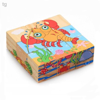 พร้อมส่ง = เกมปริศนา ลายการ์ตูน Sea Life หกด้าน