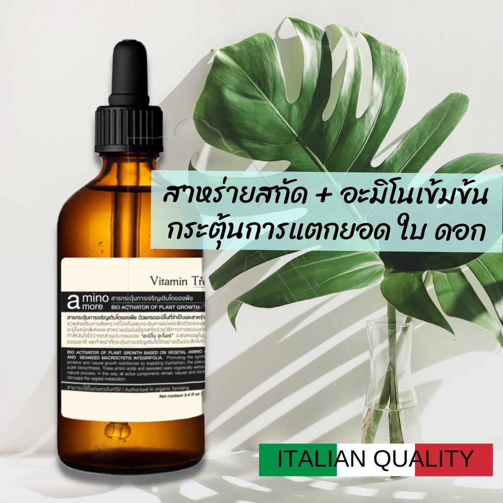 อะมิโน อะโมเร่ สาหร่าย อะมิโน เข้มข้น กระตุ้นการแตกยอด เร่ง ใบ ดอก ลดความเครียดหลังย้ายกระถาง Vitami