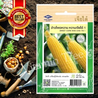 เมล็ดพันธุ์ ข้าวโพด หวานหวานเจียไต๋ 1 CORN SEED เจียไต๋