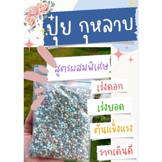 ปุ๋ยกุหลาบ ปุ๋ยเม็ดสูตรพิเศษ (200g.) บำรุงต้น ราก ดอกดก ดอกใหญ่ เร่งการเจริญเติบโต แตกกระโดงเก่ง เหมาะกับพืชทุกชนิด