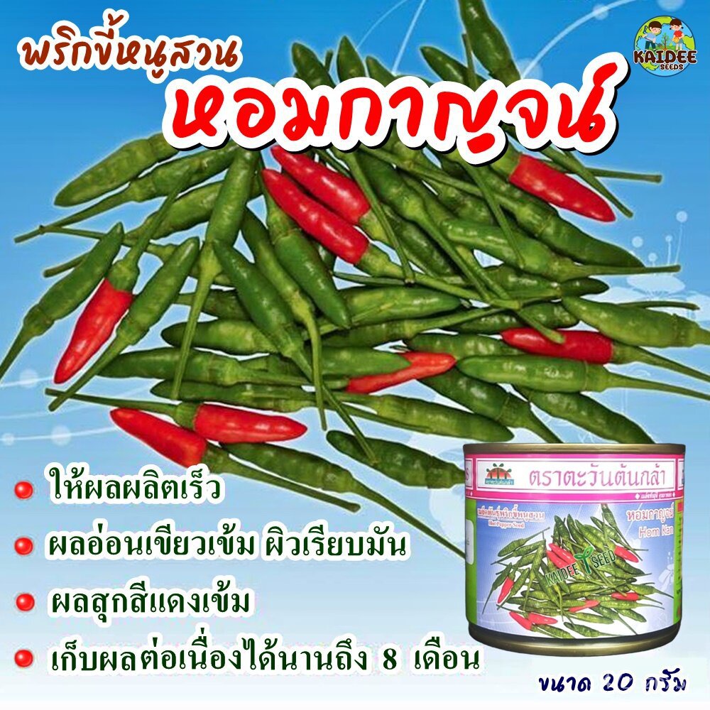อินทรีย์็ด อินทรีย์็ด อินทรีย์็ดพริกขี้หนูสวน หอมกาญจน์ ตราตะวันง่ายกล้า ขนาด20กรัม อินทรีย์พริกขี้หนูสวน อินทรีย ผั