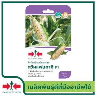 เมล็ด เมล็ด East-West Seed อินทรีย์เพาะ (waxy corn seeds) สวีทแฟนตาซี F1 อินทรีย์อินทรีย์ อินทรีย์  ผักบุ้