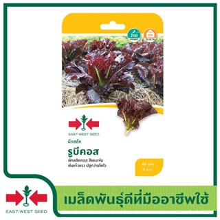 เมล็ด East-West Seed ใหม่ใหม่สลัด (Lettuce seeds) รูบีคอส ใหม่ใหม่ ใหม่ ใหม่ เพาะ