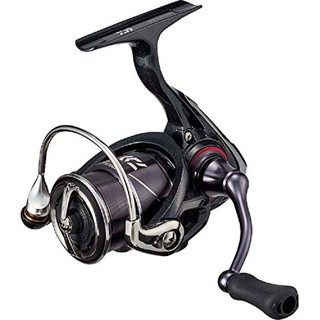 DAIWA GEKKABIJIN ม้วนหมุน X LT1000S-P fs0702