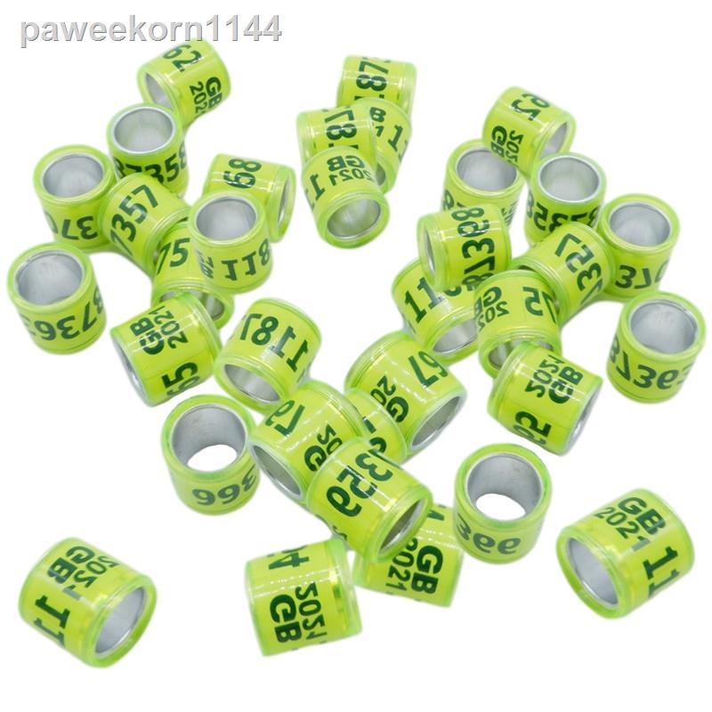 Pigeon Ring Band 2023 Bright Green pigeon ring pigeon accessories 8MM bird ring racing pigeon foot r