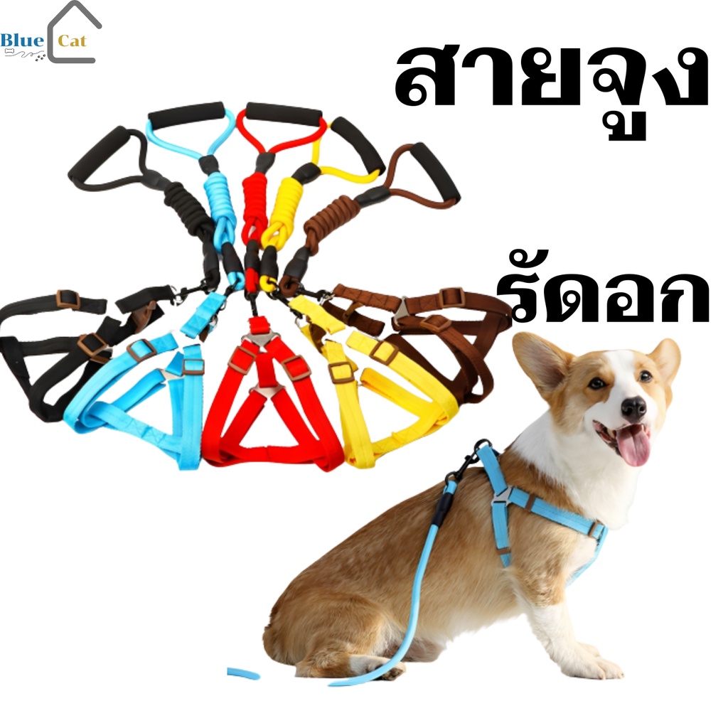 พร้อมส่ง สายจูงสุนัข รัดอกสุนัข จูงแมว เชือกสุนัขใหญ่ สายคาดอกสุนัข ที่จับนุ่ม เชือกแข็งแรง