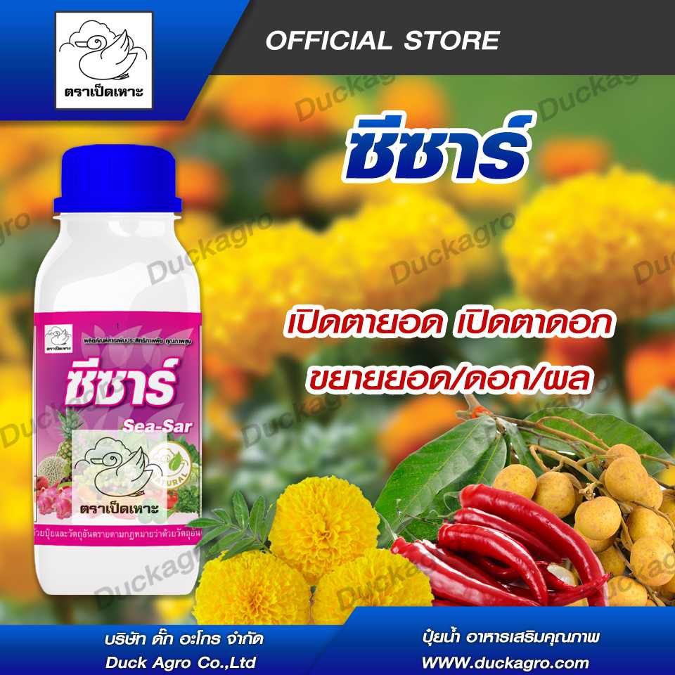 อะมิโน แอซิด  ซีซาร์  ตราเป็ดเหาะ เปิดตายอด เปิดตาดอก ขยายยอด/ดอก/ผล ฟื้นฟูหลังการเก็บเกี่ยว ขนาดบรรจุ 500 /1000 cc.