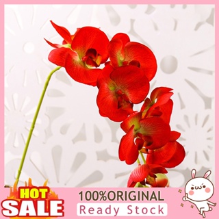 [B_398] Artificial Flower Realistic Office Butterfly Orchid 7 Fake Flower for Wedding