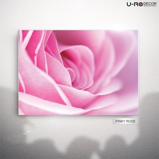 U-RO DECOR ภาพพิมพ์ รุ่น PINKY ROSE ขนาด 50x70 ซม.