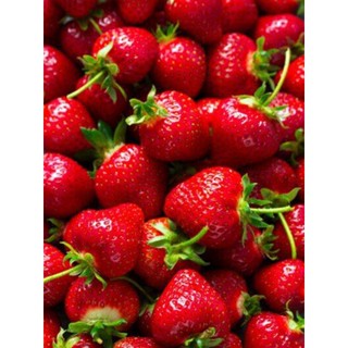 10 เมล็ด   เมล็ดสตอเบอร์รี่ ของแท้ 100 %  (selva strawberry) งอกไว เพาะไม่ยาก อัตราการงอก 70-80 % มีพร้อมคู่มือการเพาะ