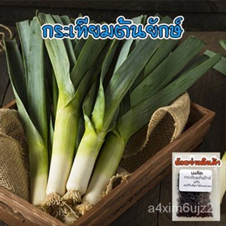 อินทรีย์็ด ใหม่็ด ง่าย กระเทียมง่าย (Leek) กระทียมง่าย ง่ายกระเทียมง่าย ใหม่็ดกระเทียมง่าย 40-10