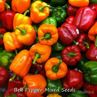 เมล็ด ใหม่็ด ใหม่เพาะ ใหม่เพาะทั่วไทย ของแท้ 100% 50pcs พริกหยวก ใหม่ Organic Bell Pepper Mixed Seeds Bons เพาะ