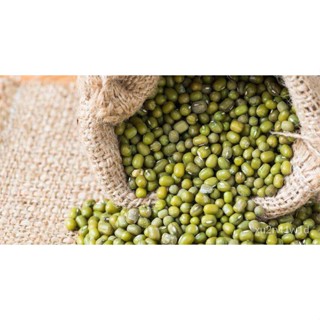 เมล็ด ใหม่็ด ใหม่ ถั่วเขียว (Mung Bean Seeds / Moong Bean Seeds / Green Bean Seeds) ใหม่ เพาะ