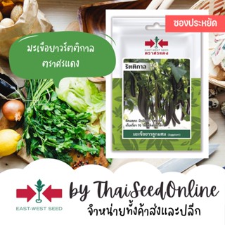 เมล็ด ใหม่็ด VP3 ซฟ ใหม่ซฟ เพาะยาวม่วงรัตติกาล 50ใหม่็ด ตราศรแดงเพาะยาว เพาะยาวสีม่วง เพาะ