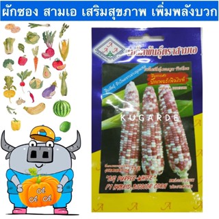 เมล็ด เพาะ AAA  ใหม่เพาะ สามเอ A218 เพาะขาวม่วงลูกผสม ใหม่  ใหม่ใหม่ ใหม่็ดใหม่ ใหม่ถู เพาะ