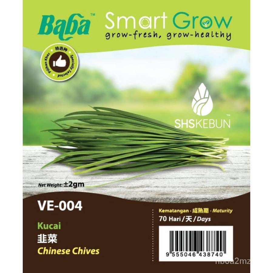 Baba Chinese Chives Seed Non-GMO F1 Benih Kucai VE-004 SHS Kebun A9ZZ