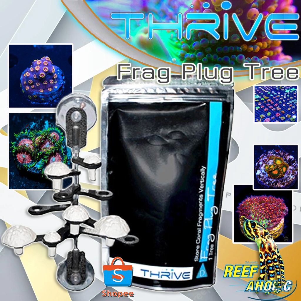 Reef-Aholic Thrive D Plug Tree ชุดแฟรกติดกระจก Frag Holder  เลิศหรูมีสไตล์ พร้อมสไลด์ เข้าประจำที่