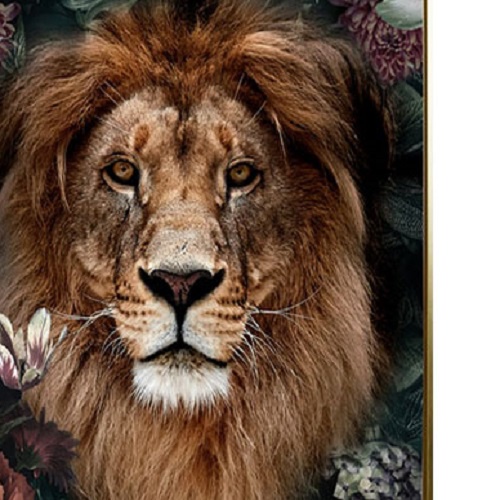 ภาพติดฝาผนัง CHIC REPUBLIC รุ่น ASLAN/50X70 สีทอง/หลากสี_2