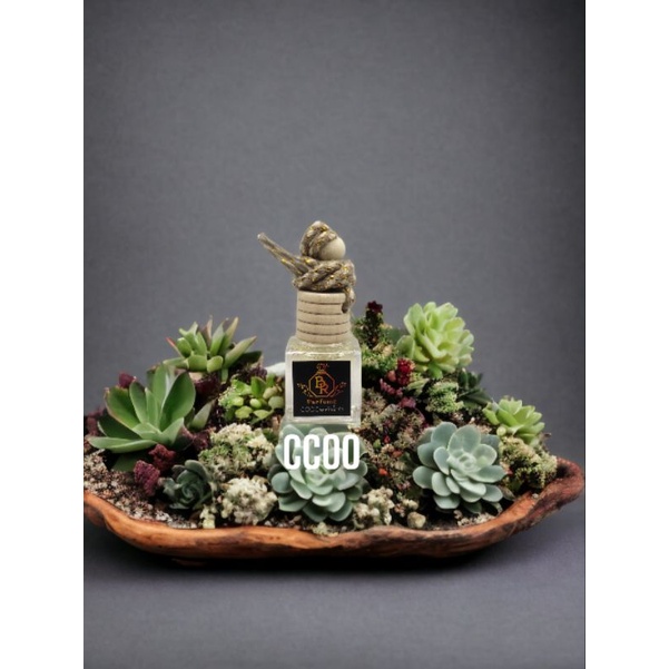 น้ำหอมติดรถยนต์ BR Perfume กลิ่น CCOO 8 ml.