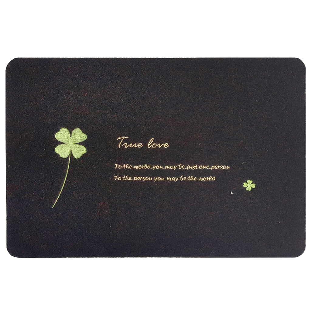 WSP พรมดักฝุ่นเช็ดเท้า พรมPP ขนาด 60x40 cm. รุ่น BM-217/02