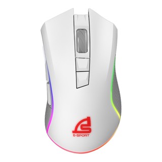 คีย์บอร์ด และเมาส์ :: WIRELESS MOUSE (เมาส์ไร้สาย) SIGNO WG-900W VORTEX