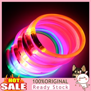 [B_398] LED Dog Collar Rechargeable USB Charging Puppy up Collar for Outdoor