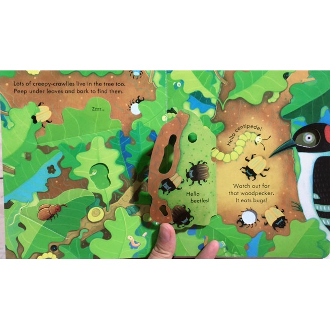 Usborne Peep Inside A Tree English Educational 3D Flap Picture cardboard Books Baby Children English Reading Story Book